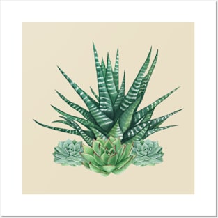 Watercolored Succulents Posters and Art